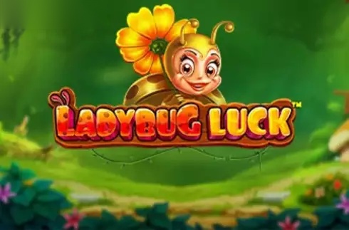 Ladybug Luck