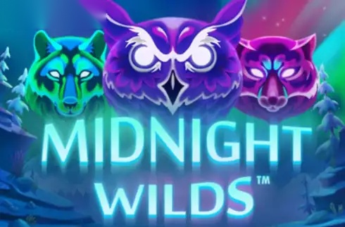 Midnight Wilds