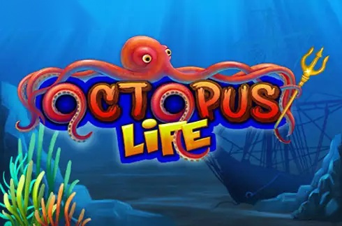 Octopus Life