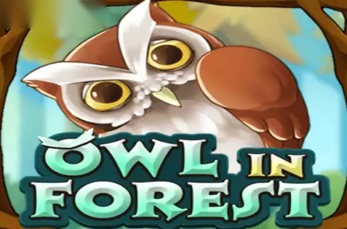 Owl In Forest