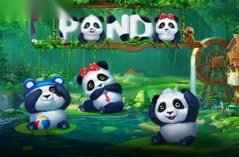 Panda slot Gameplay Interactive