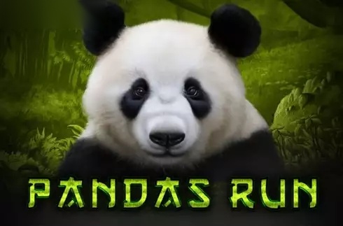 Panda's Run