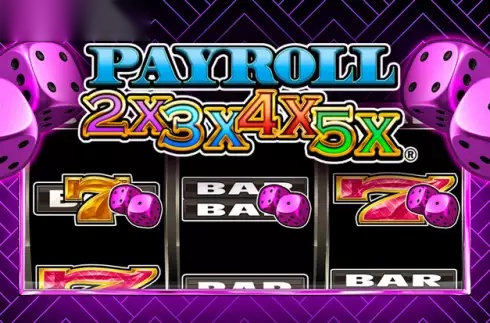 Payroll 2x3x4x5x slot undefiend