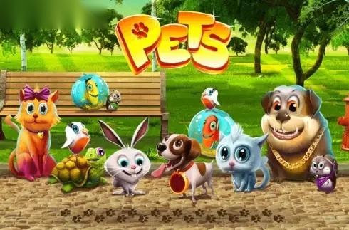 Pets