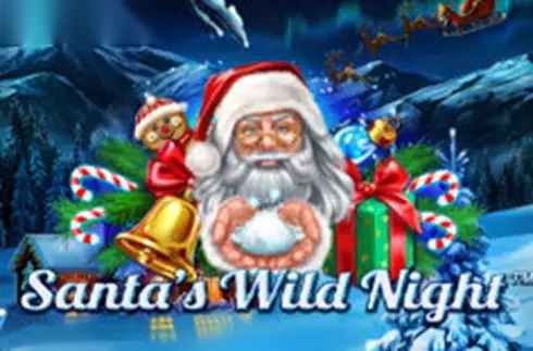 Santa's Wild Night