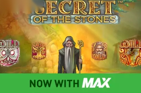 Secret of the Stones MAX