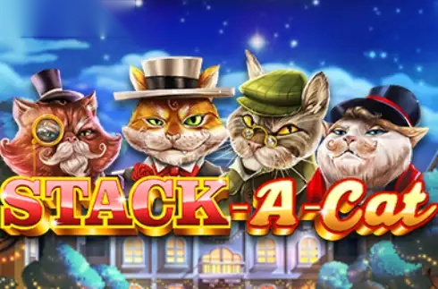 Stack A Cat