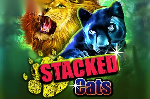 Stacked Cats slot Ready Play Gaming