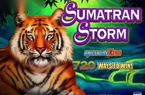 Sumatran Storm