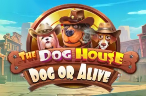 The Dog House - Dog or Alive slot Pragmatic Play