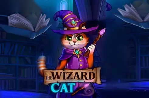 The Wizard Cat