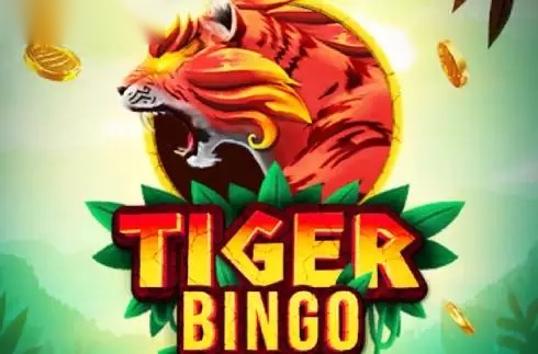 Tiger Bingo slot Darwin gaming