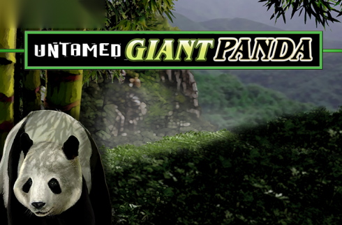 Untamed Giant Panda