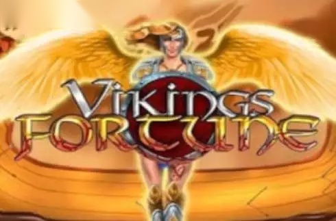 Vikings Fortune slot WMG