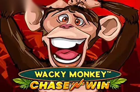 Wacky Monkey Chase’N’Win