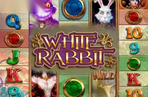 White Rabbit