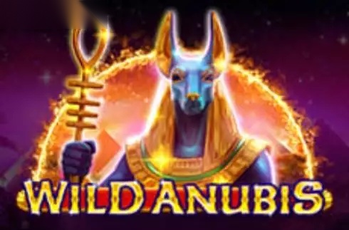 Wild Anubis slot Amatic Industries