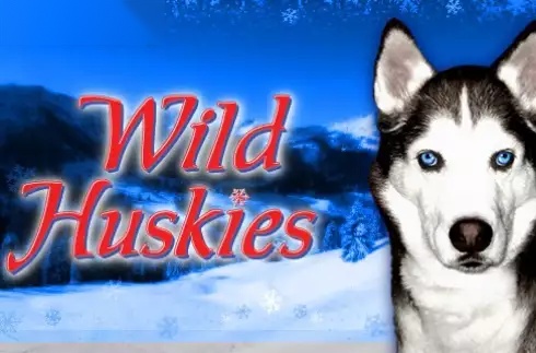 Wild Huskies