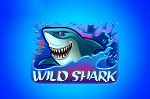 Wild Shark