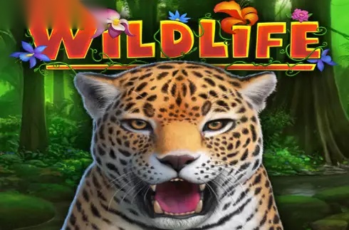 Wildlife slot Capecod Gaming