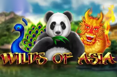 Wilds of Asia slot Five Men Games