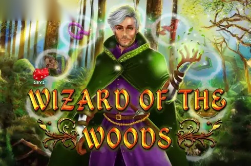 Wizard of the Woods