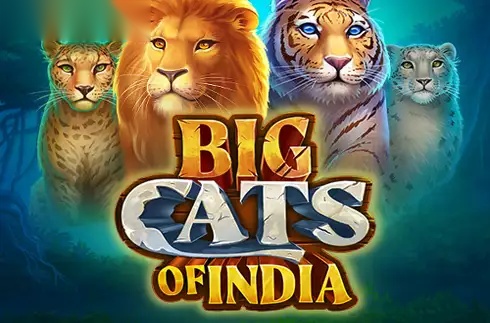 Big Cats of India