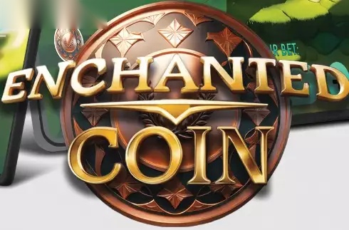 Enchanted Coin slot undefiend