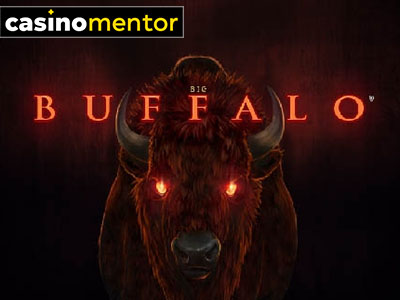 Big Buffalo