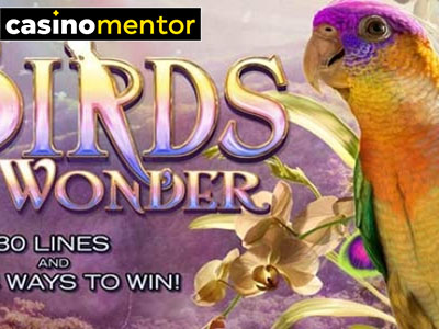 Birds of Wonder