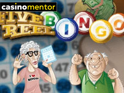 Five Reel Bingo slot Rival Gaming
