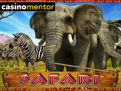 Safari