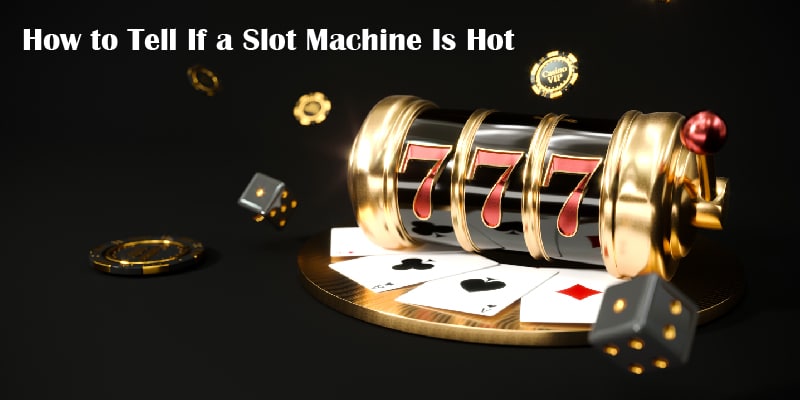 How to Tell If a Slot Machine Is Hot