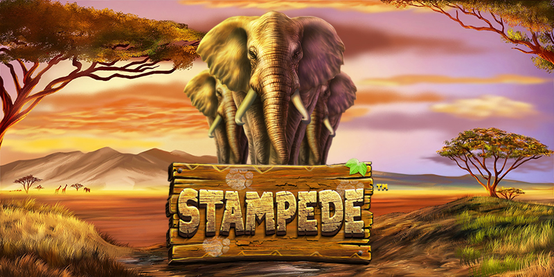 Stampede - From Betsoft