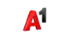 A1