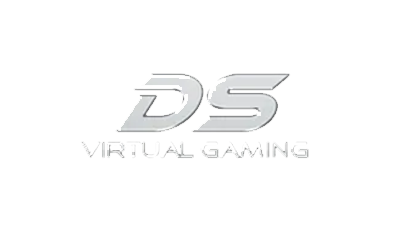 DS Virtual Gaming