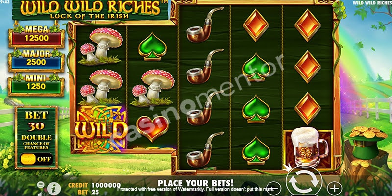 Wild Wild Riches