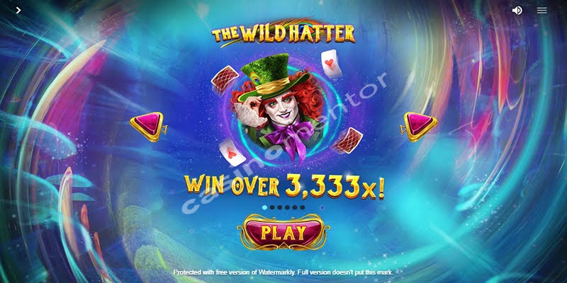 The Wild Hatter