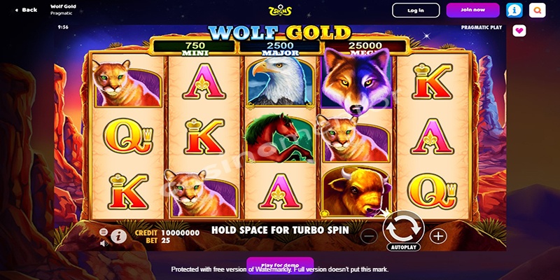 Wolf Gold