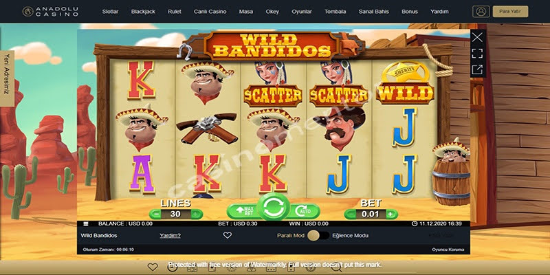 Wild Bandidos