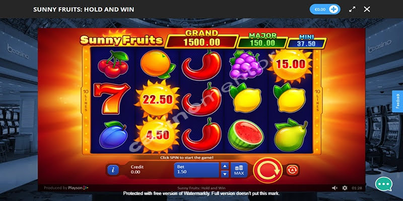Sunny Fruits