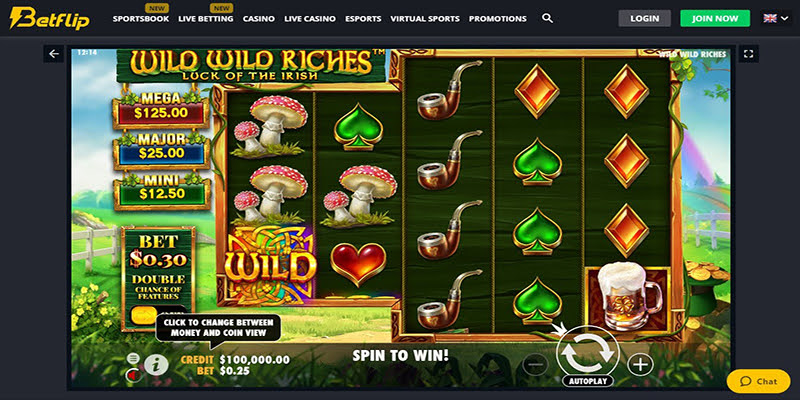 Wild Wild Riches