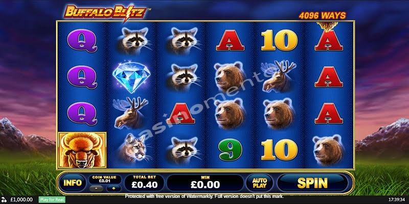 Buffalo Blitz