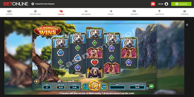 Wilderness Wins