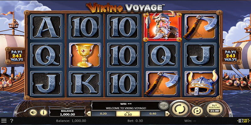 Viking Voyage