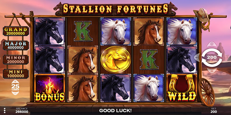 Stallion Fortunes