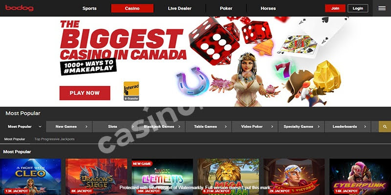 Homepage