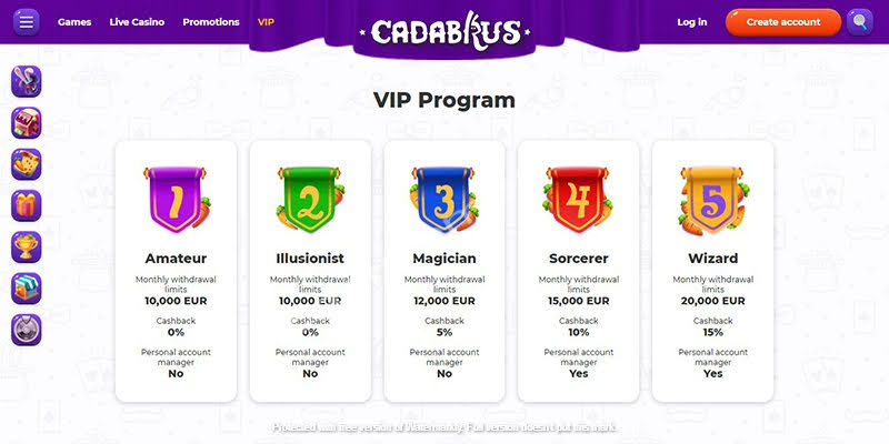Vip Program
