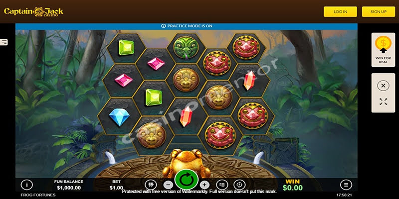 Frog Fortunes
