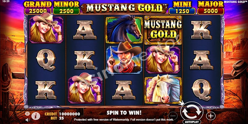 Mustang Gold